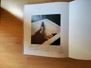 Buy Herman Brood - Anton Corbijn? Bid from 219!