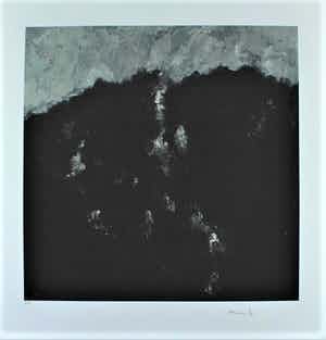 Armando - Giclee WALDRAND Handgesigneerd. verkocht voor € 159!