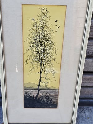 Tom Anema - Boom met vogels kopen? Bied vanaf 34!