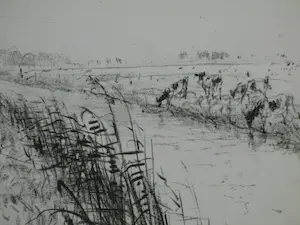 Piet Klaasse - Bij Eemnes - Litho kopen? Bied vanaf 25!