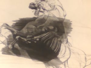 Claude Weisbuch - Steigerend paard kopen? Bied vanaf 75!