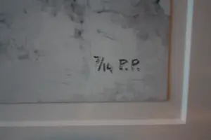 Nico Molenkamp - Ontmaskerd - (zeer grote zeefdruk) kopen? Bied vanaf 1!