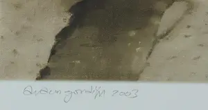 Araun Gordijn - Zeefdruk, San Fransico Flat - Ingelijst kopen? Bied vanaf 80!