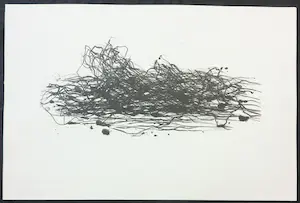 Max Uhlig - Litho, Mecklenburgische Landschaft kopen? Bied vanaf 100!