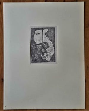 Theo van Hoytema - 'Witte kaketoe aan ketting op stok' kopen? Bied vanaf 50!