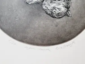 Dick Stolwijk - Realistische - kleine oplage (50) eigen druk - Ets "slapende pup" - potloodges kopen? Bied vanaf 1!