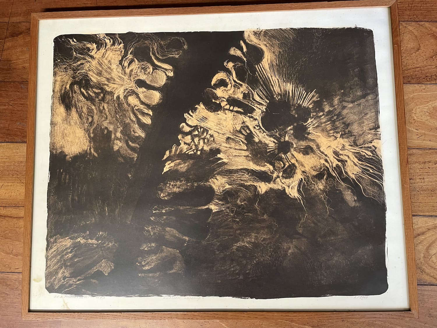 Jan Michielsen - Kwallen kolonie kopen? Bied vanaf 100!