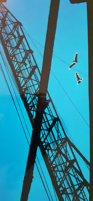 Hendrik Jan Koldeweij - "Annemarievier" kopen? Bied vanaf 30!