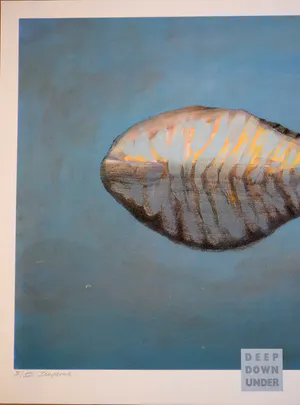 Taco Meeuwsen - Kleurenzeefdruk - Deep Down Under kopen? Bied vanaf 45!