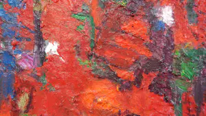 Harrie Sijbers - Universum kopen? Bied vanaf 900!