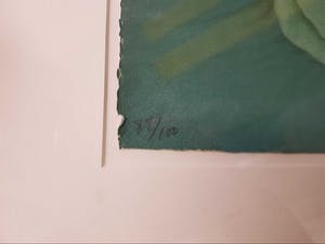 Jean Paul Vroom - Waterlelies met riet kopen? Bied vanaf 150!