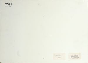 Paul Overhaus - Acryl op board, Neveling - Ingelijst kopen? Bied vanaf 50!