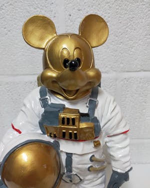 Hannes D'Haese - Mickey Mouse in space kopen? Bied vanaf 100!