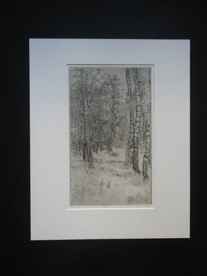 Charles Donker - BOS X kopen? Bied vanaf 160!