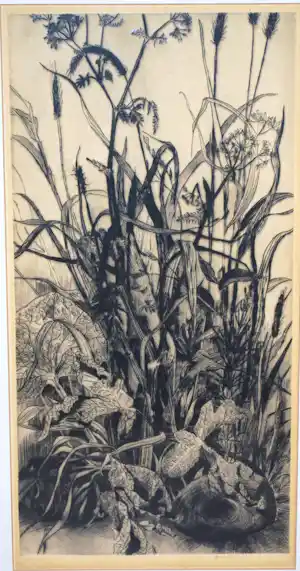 Gerard van Rooy - Grassen en fluitekruid - zeldzame, vroege, grote ets uit 1963 verkocht voor € 150!