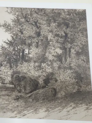 Ernest C. Rost - Waterval kopen? Bied vanaf 30!