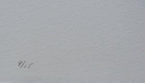 Chris de Bueger - Zeefdruk: Gelijktijdig kopen? Bied vanaf 35!