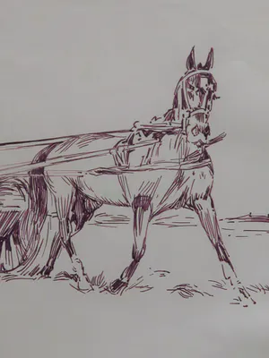 Karel van Seben - Boer met paard en wagen kopen? Bied vanaf 19!