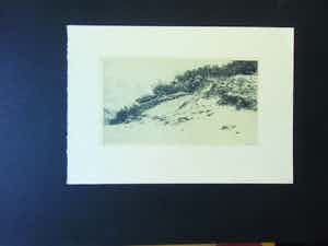 Dirk Harting - DUINRAND BERGEN NH verkocht voor € 40!