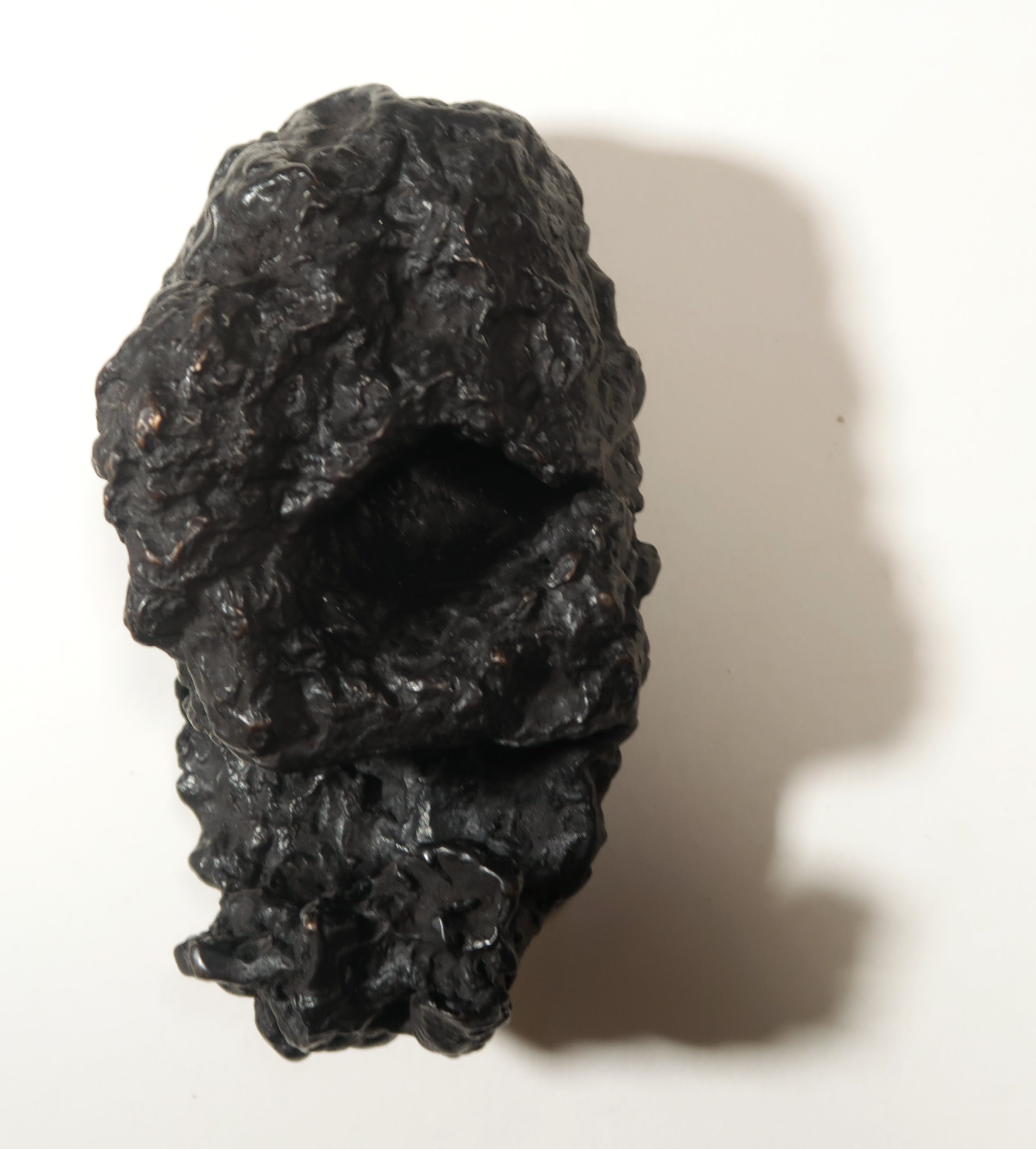 Berend Hoekstra - Brons, Een nomade kopen? Bied vanaf 1!