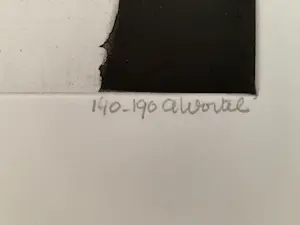 Ans Wortel - kleurenets - uitgangspunt voor vlinders kopen? Bied vanaf 80!