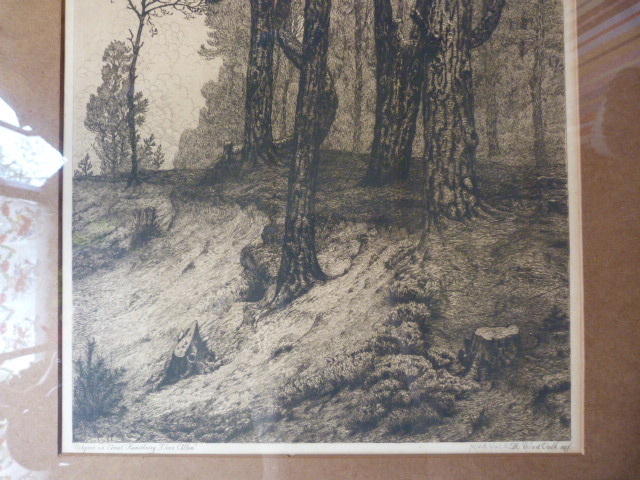 Maurits van der Valk - Boslandschap. kopen? Bied vanaf 20!