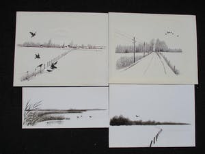 Ari Stolk - 4 landschappen met vogels kopen? Bied vanaf 1!