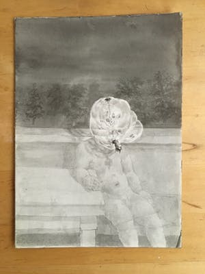 Peter Vos - Boomman kopen? Bied vanaf 80!