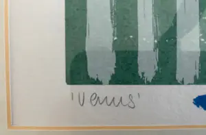 Peter van den Akker - Venus kopen? Bied vanaf 45!