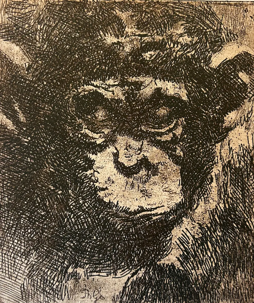 Theo Fransiscus Goedvriend (1879-1969)