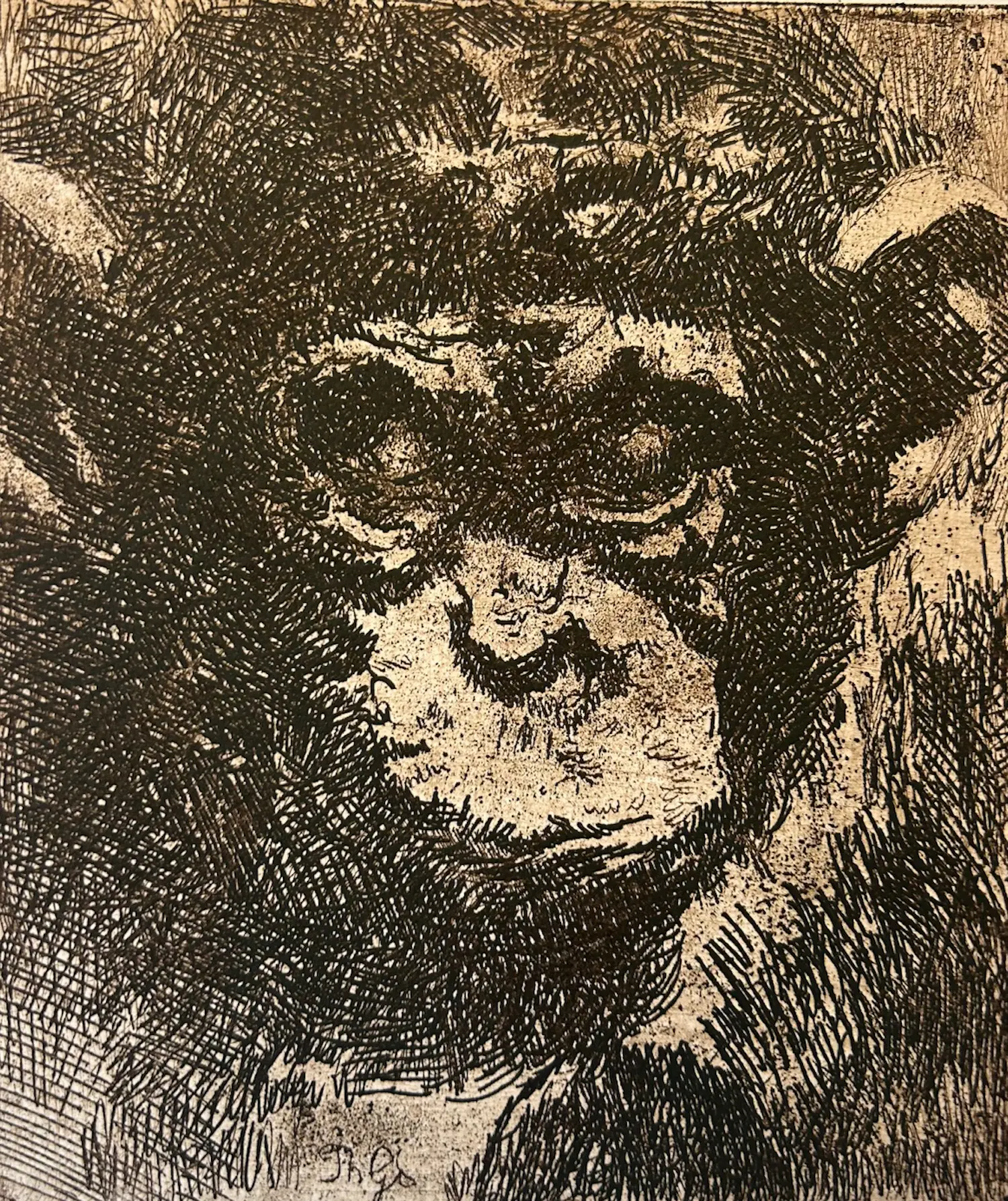 Theo Fransiscus Goedvriend (1879-1969)