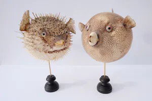 Niet of onleesbaar gesigneerd - Parelhoen kogelvis ("Golden Puffer") // Kogelvis // Op sokkel kopen? Bied vanaf 1!