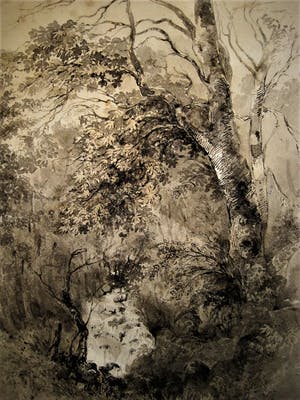 Paul Citroen - 3 vooroorlogse figuratieve Sepia tekeningen (bos)landschappen kopen? Bied vanaf 20!