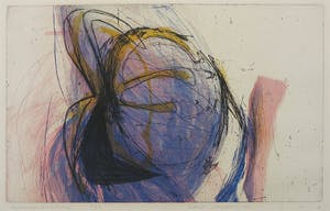 Hans Vredegoor - Kleurenets, Tweespraaktwee kopen? Bied vanaf 1!