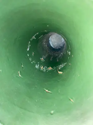 Bert Nienhuis - Plateelbakkerij De Distel, Amsterdam zeldzame decoratieve art deco vaas kopen? Bied vanaf 95!