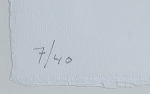 Jon Marten - Litho - Ingelijst kopen? Bied vanaf 65!