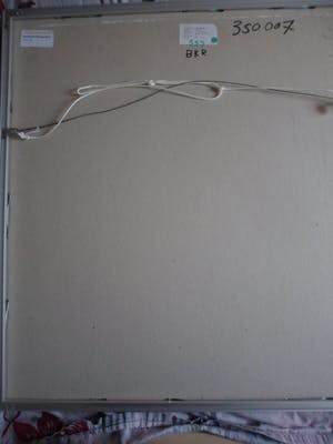 Peter Oosterbos - Ets, Titel. "Grote Groeisels". kopen? Bied vanaf 35!