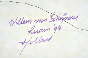 Willem van Scheijndel - Acryl op doek - Gesigneerd - 70x80 cm - 1999 kopen? Bied vanaf 850!