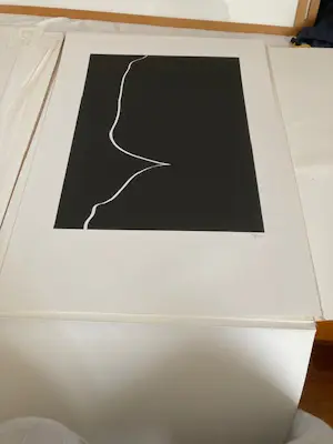 Harry van Kuyk - Grafinu kopen? Bied vanaf 100!