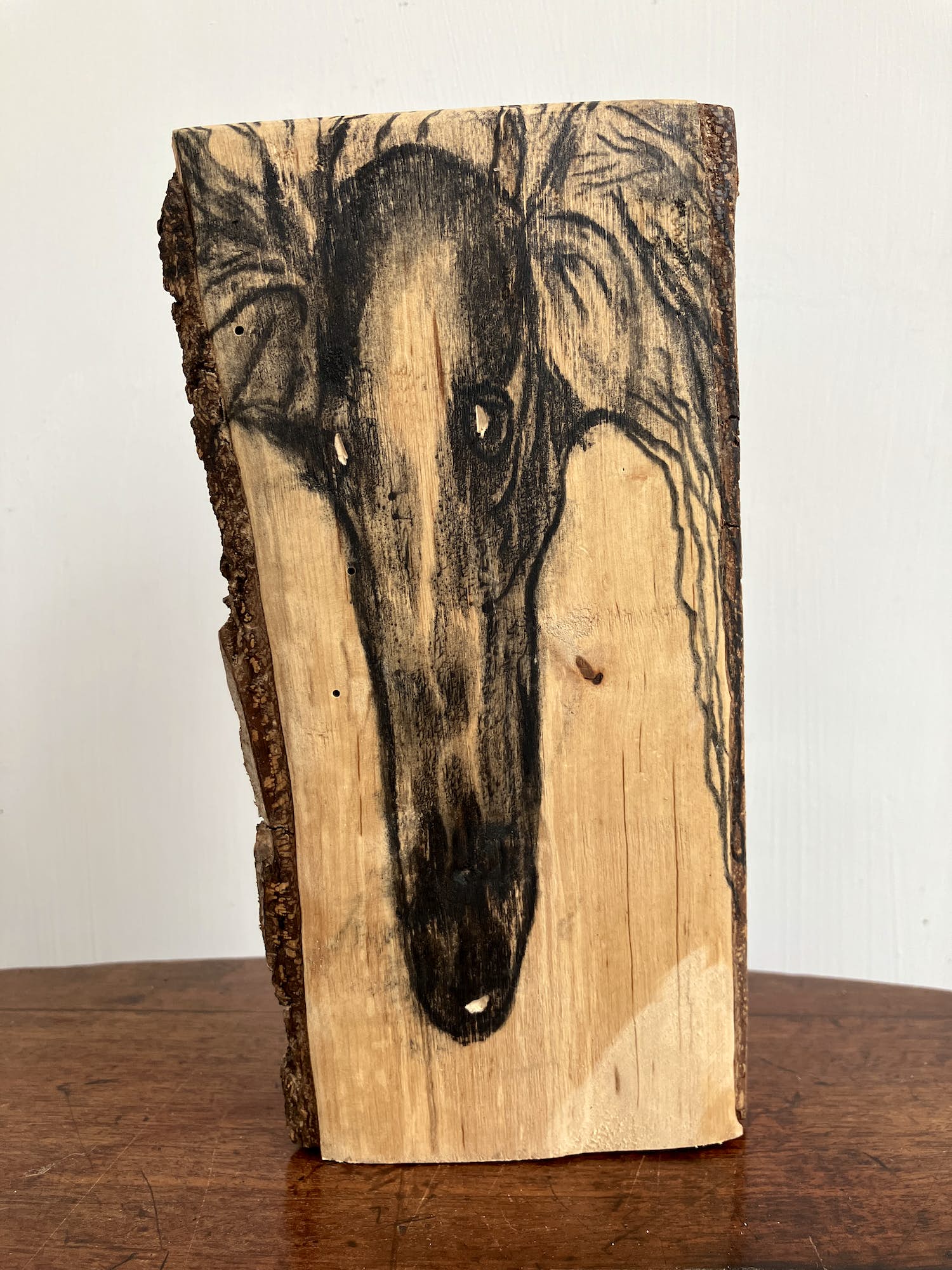 Emile van der Kruk - Greyhound kopen? Bied vanaf 1!