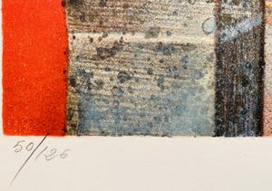 Camille Hilaire - Rome Colosseum kopen? Bied vanaf 20!