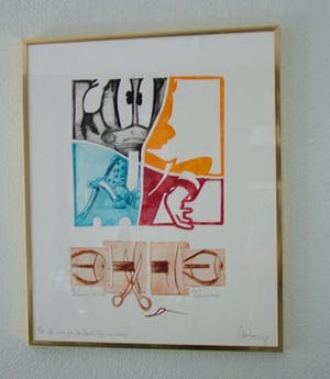 Arend van Dam - Kleuren ets op papier, getiteld "De schele ogen van Donald" 4/15 kopen? Bied vanaf 15!