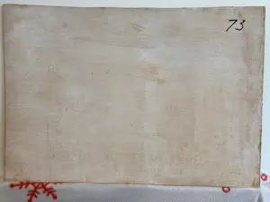 Tijn Spronk - Zomer landschap kopen? Bied vanaf 59!