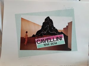 Woody van Amen - Cavellini 1914-2014,Campo di tutti capi kopen? Bied vanaf 10!