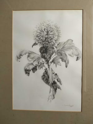 Niet of onleesbaar gesigneerd - Greet Aeijelts kopen? Bied vanaf 1!