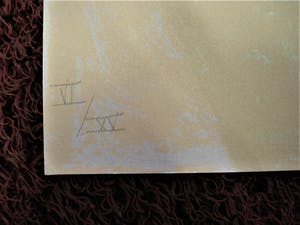 Vincent Rijnbende - GROTE Zeefdruk - Zeer kleine oplage (15 ex) "Klapwiekende Appelboom" kopen? Bied vanaf 28!