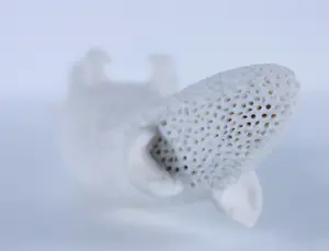 Kathja Smits - Porselein, Ratje kopen? Bied vanaf 100!