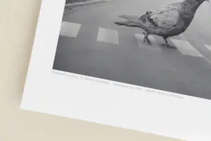 Dariusz Klimczak - 'Birdwalk' (2011) - GRATIS VERZENDING kopen? Bied vanaf 75!