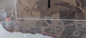 Mark Verdoes - IX 2008 kopen? Bied vanaf 40!