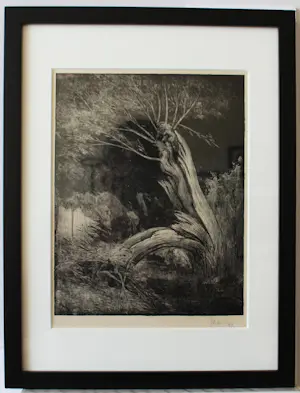 Simon Moulijn - De gewonde (gewonde wilg) kopen? Bied vanaf 75!